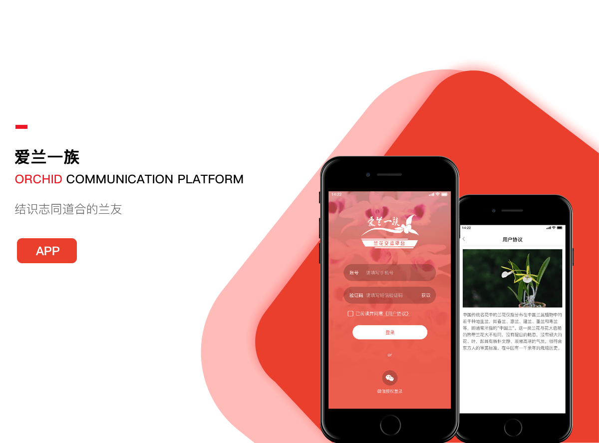 成都App开发