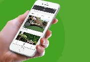 成都App开发